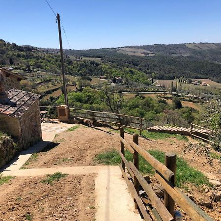 Podere Soccorso Casa Vigneto Монталчино Екстериор снимка