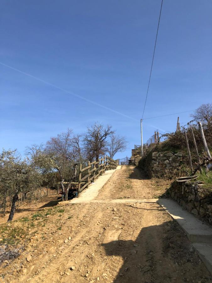Podere Soccorso Casa Vigneto Монталчино Екстериор снимка