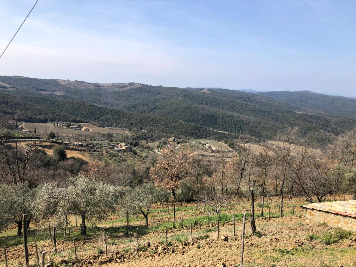 Podere Soccorso Casa Vigneto Монталчино Екстериор снимка