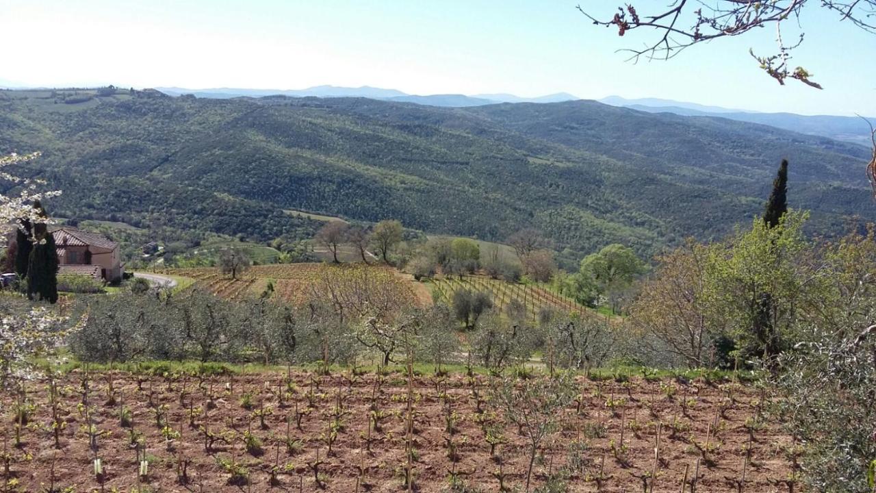 Podere Soccorso Casa Vigneto Монталчино Екстериор снимка