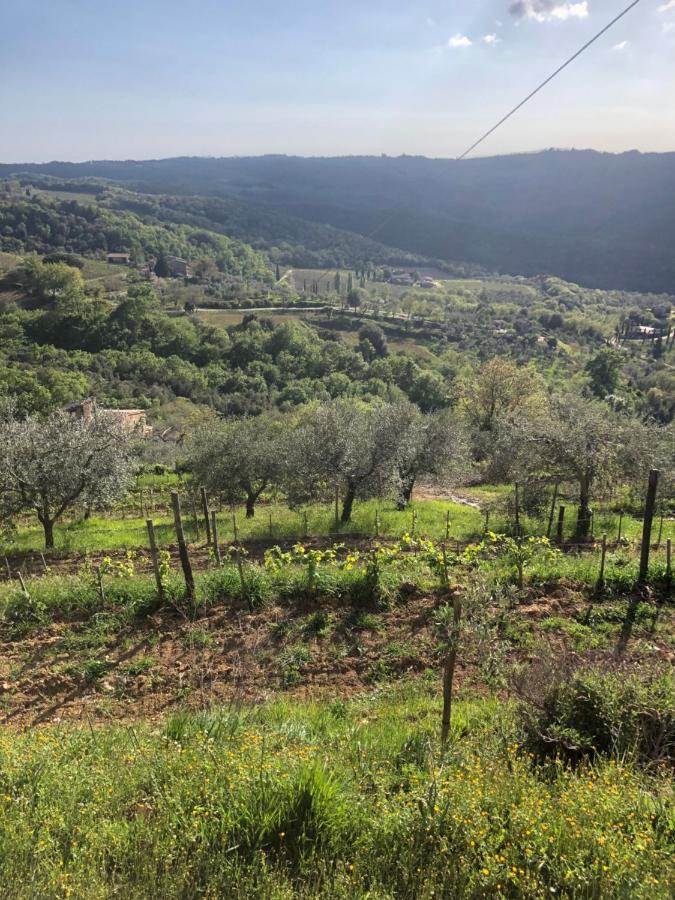 Podere Soccorso Casa Vigneto Монталчино Екстериор снимка