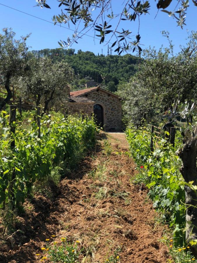 Podere Soccorso Casa Vigneto Монталчино Екстериор снимка